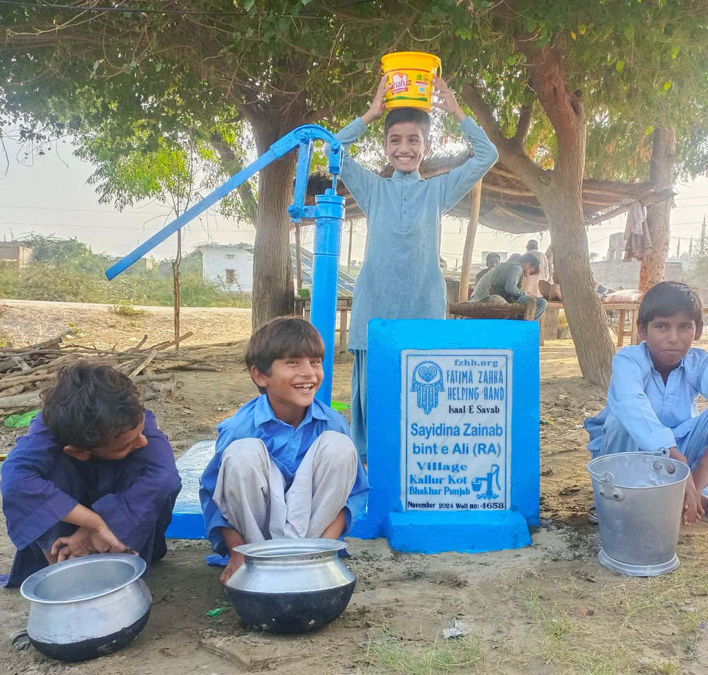 Punjab, Pakistan – Sayidina Zainab bint e Ali (RA) – FZHH Water Well# 4658