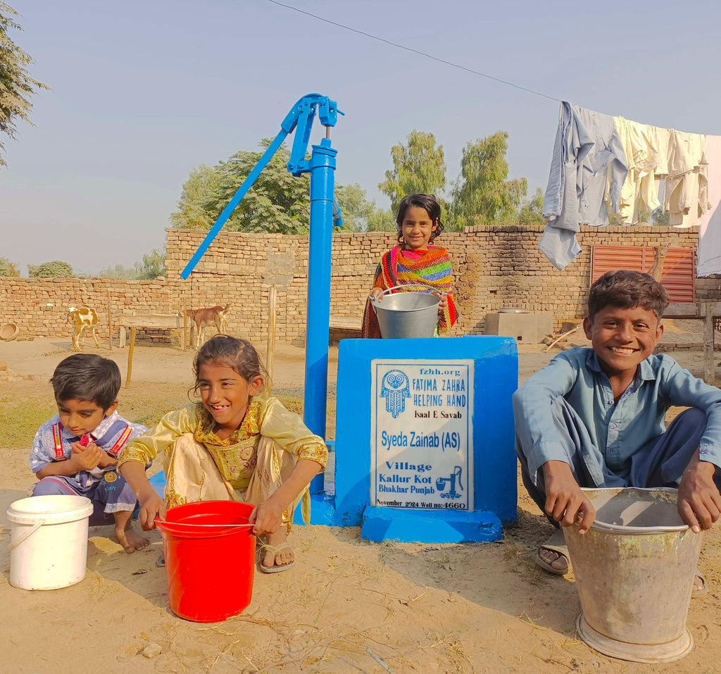 Punjab, Pakistan – Syeda Zainab (AS) – FZHH Water Well# 4660