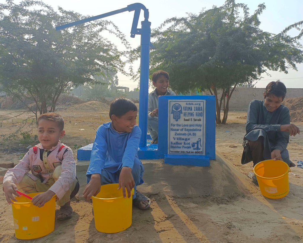 Punjab, Pakistan – For the Love and Holy Nazar of Sayedatina Zeinab (A.S) – FZHH Water Well# 4665