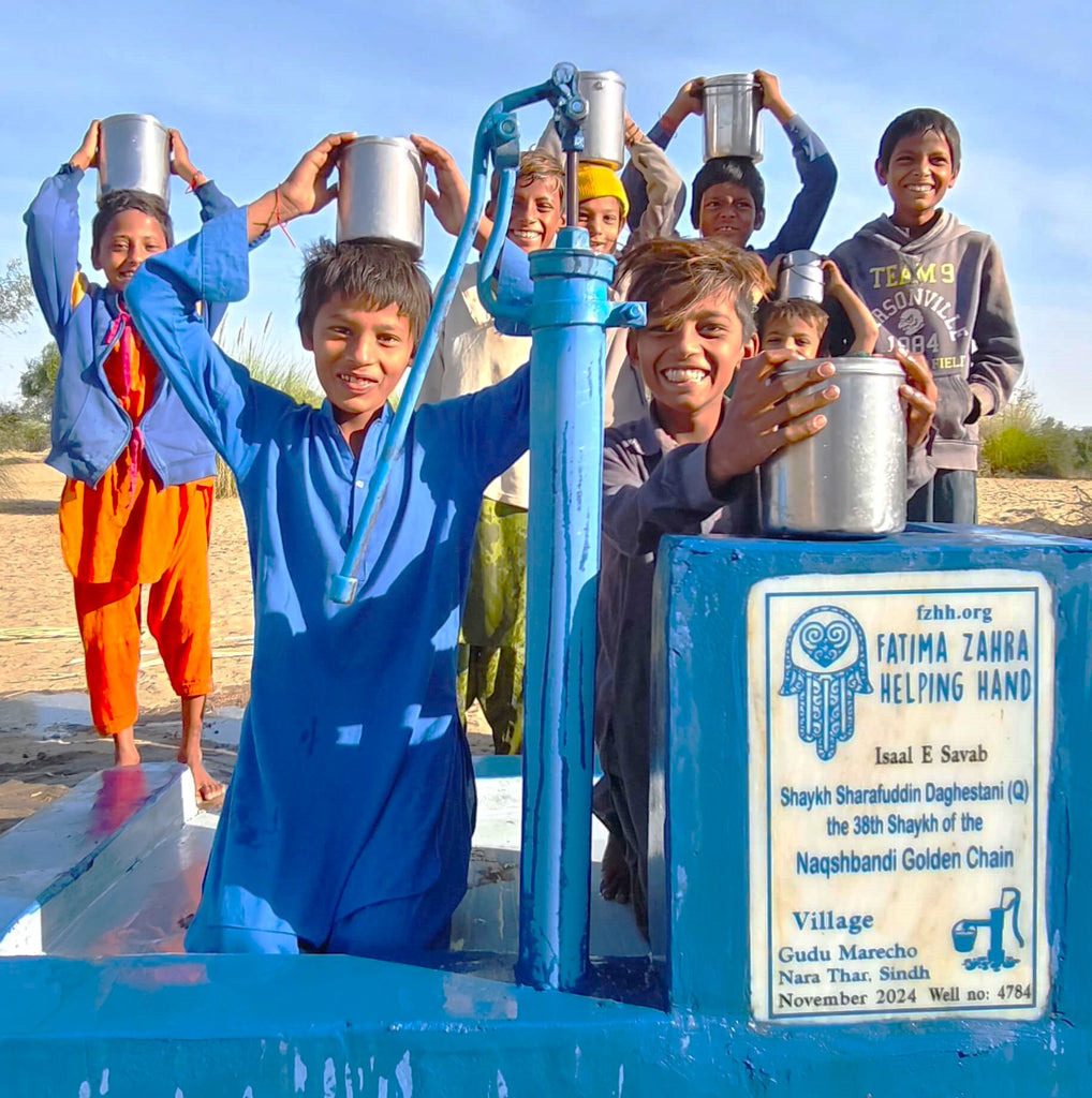 Sindh, Pakistan – Shaykh Sharafuddin Daghestani (Q) the 38th Shaykh of the Naqshbandi Golden Chain – FZHH Water Well# 4784