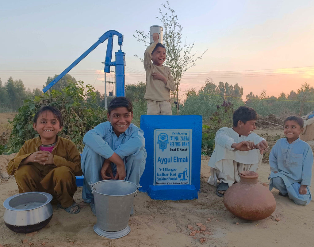 Punjab, Pakistan – Aygul Elmali – FZHH Water Well# 4827