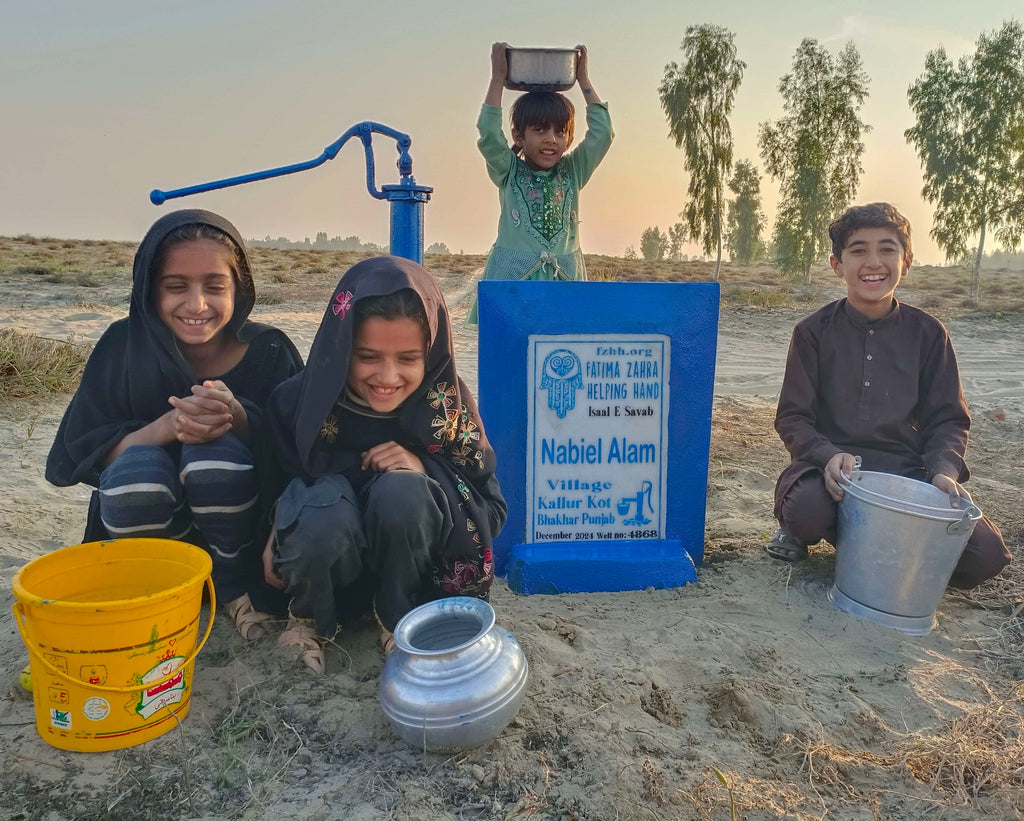 Punjab, Pakistan – Nabiel Alam – FZHH Water Well# 4868 Order no. 51905