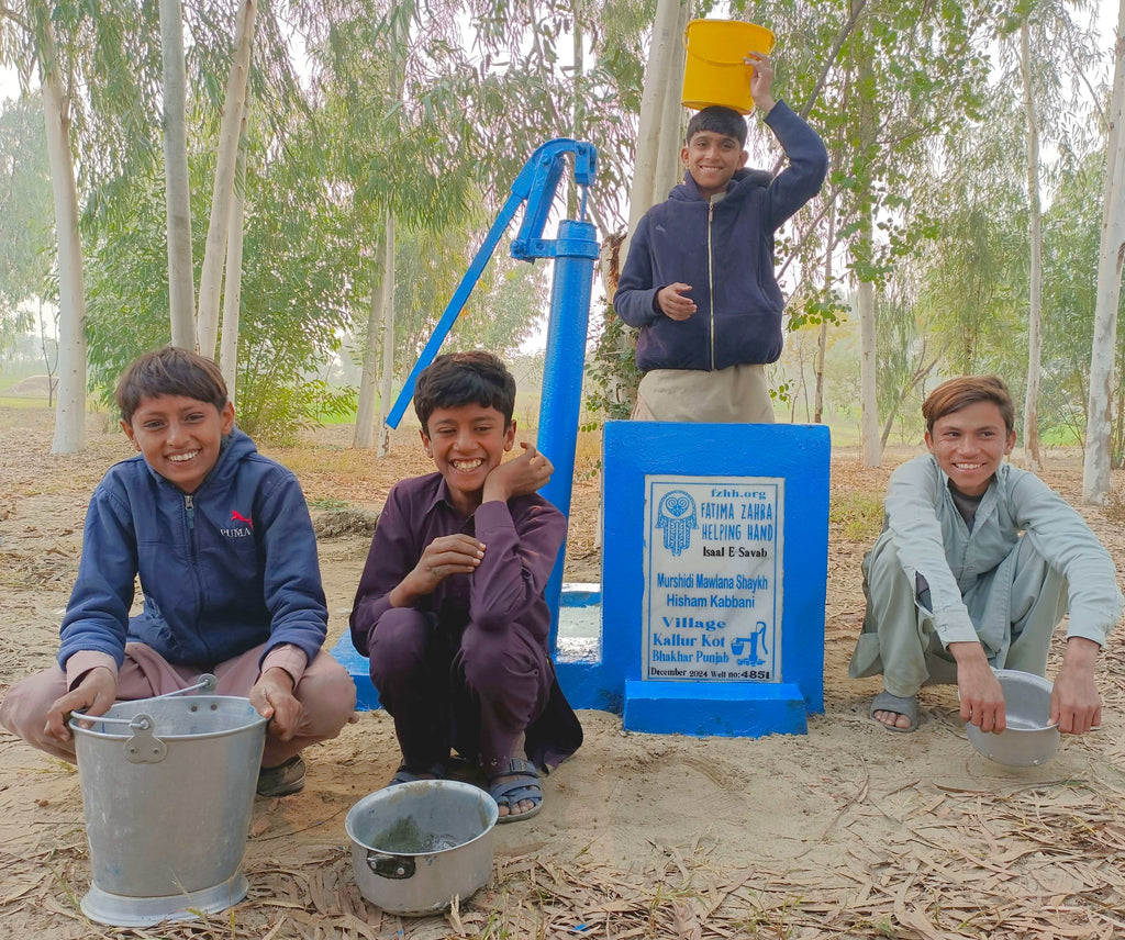 Punjab, Pakistan – Murshidi Mawlana Shaykh Hisham Kabbani – FZHH Water Well# 4851 Order no. 36643