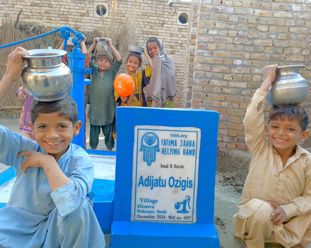 Sindh, Pakistan – Adijatu Ozigis – FZHH Water Well# 4907 Order no 52450