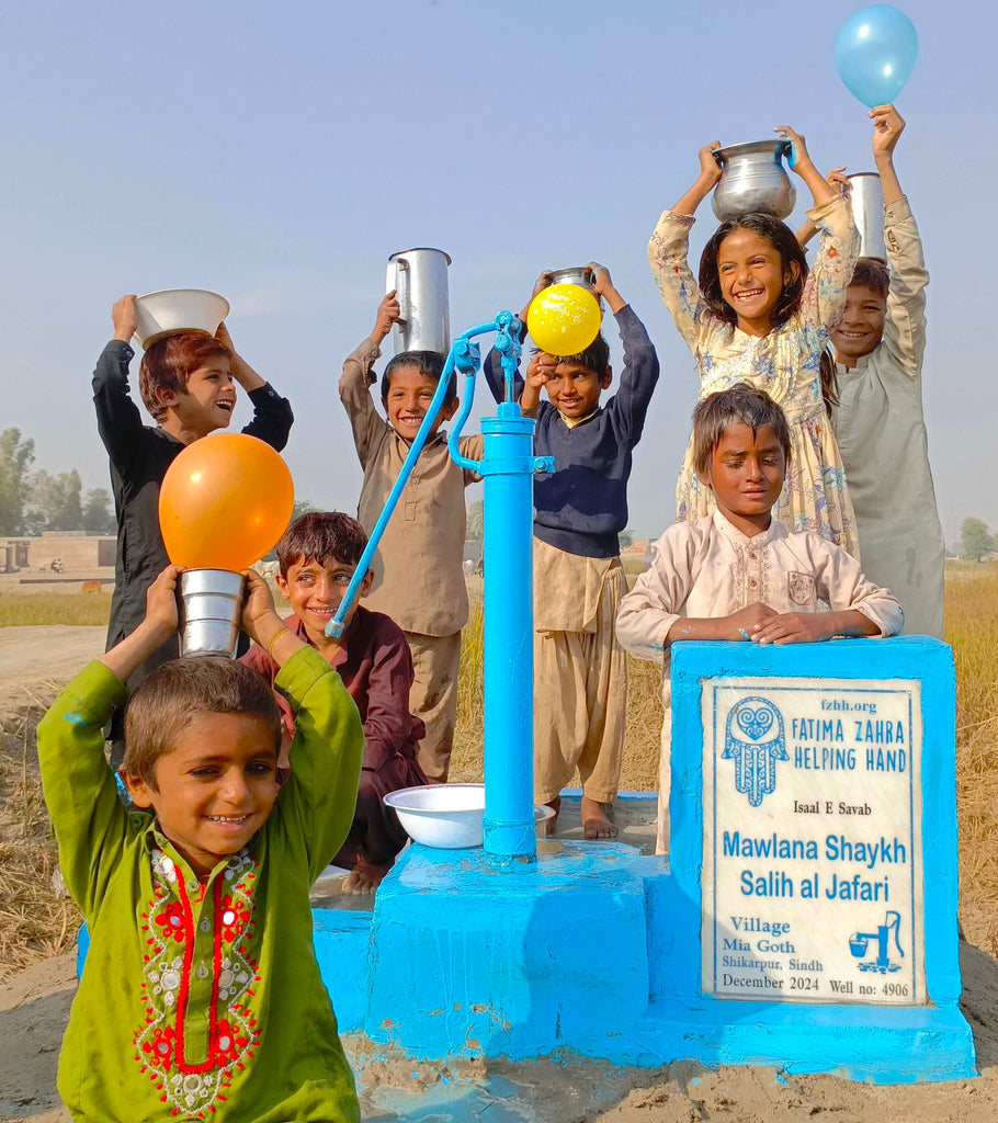 Sindh, Pakistan – Mawlana Shaykh Salih al Jafari – FZHH Water Well# 4906 Order no 52414