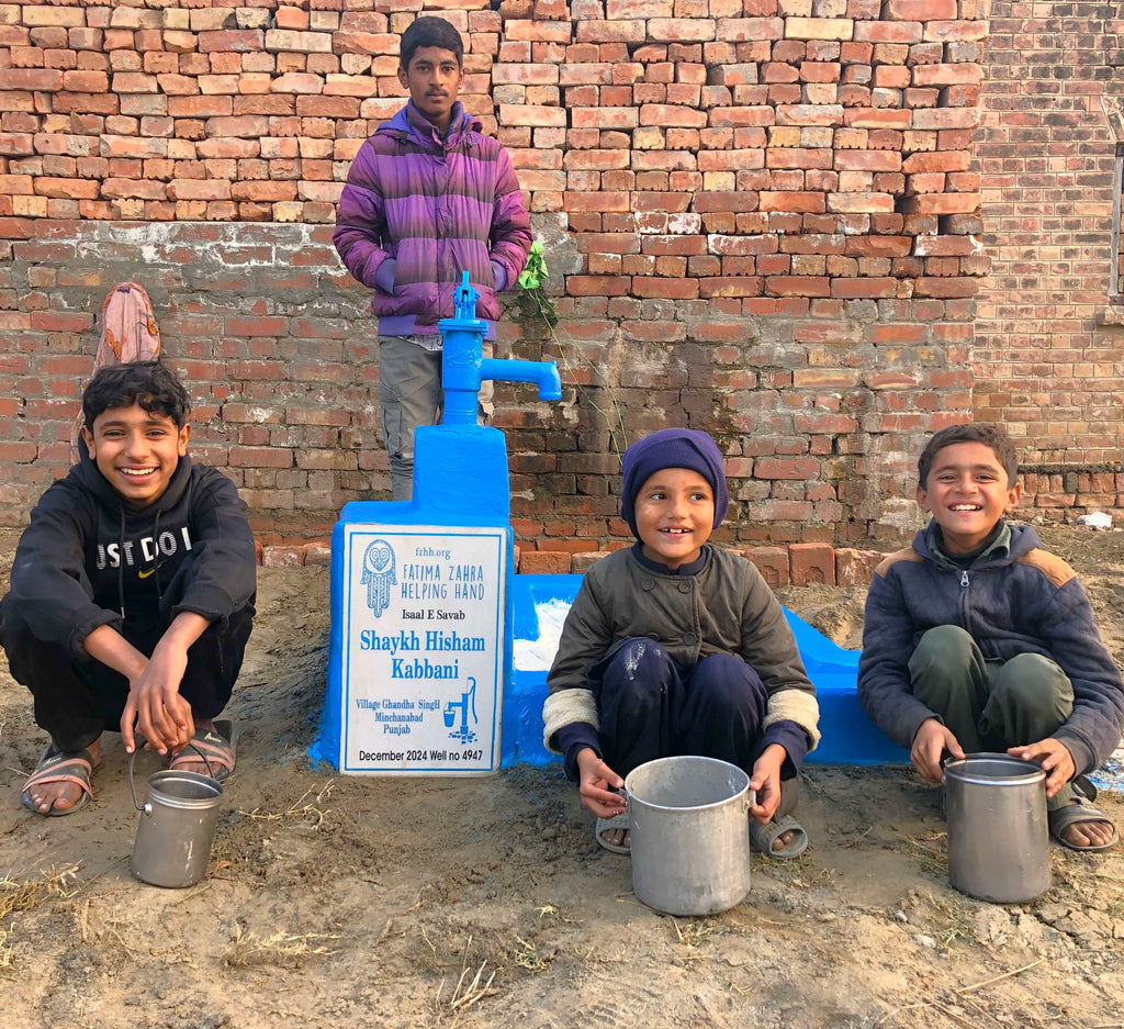 Punjab, Pakistan – Shaykh Hisham Kabbani – FZHH Water Well# 4947 Order no 52874